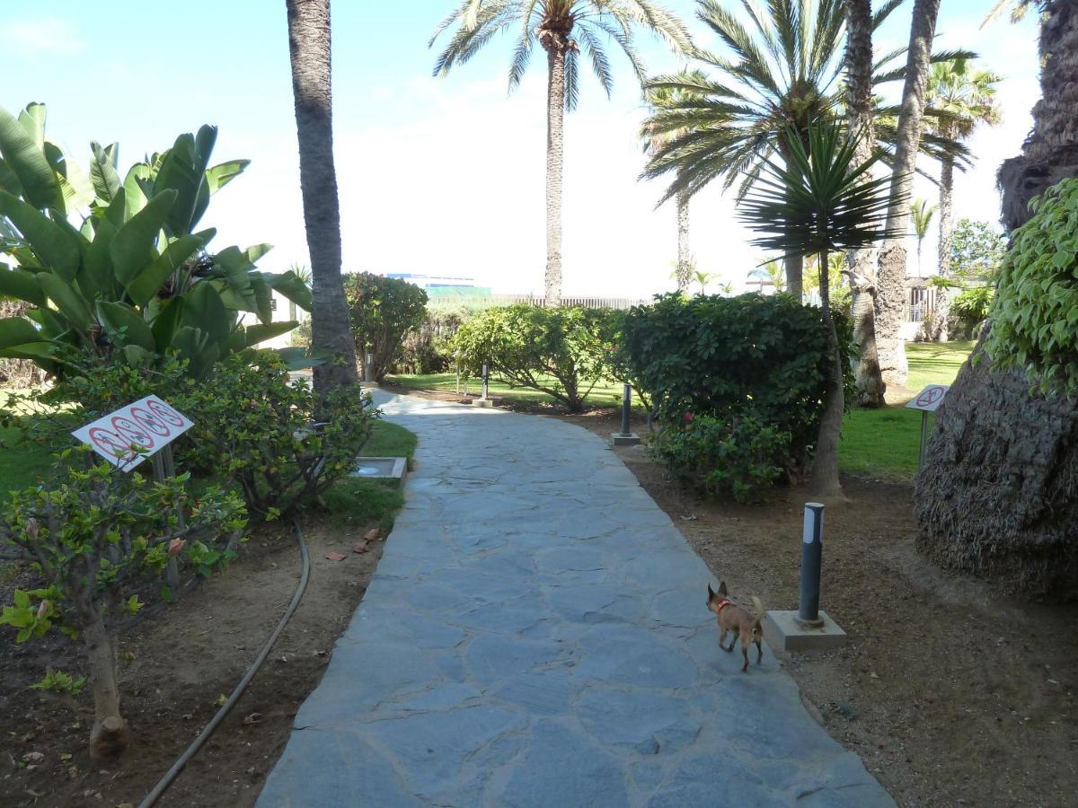 Studio In Top Lage Direkt Am Strand Arguineguin ภายนอก รูปภาพ